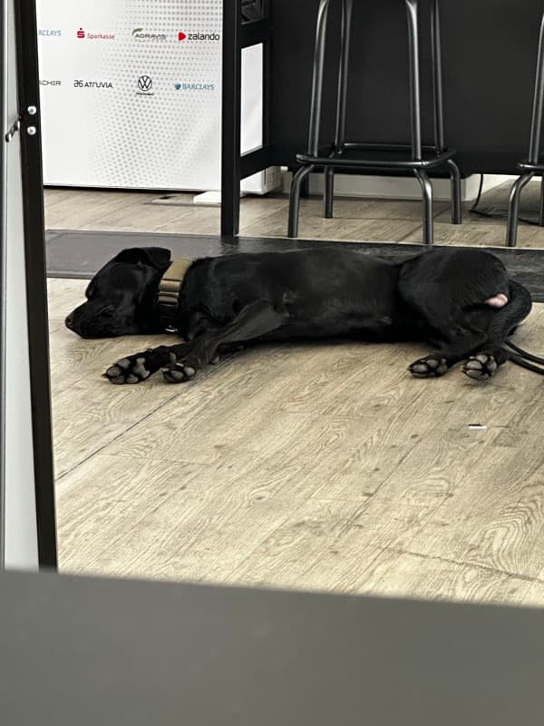 The NEED — Impression 69